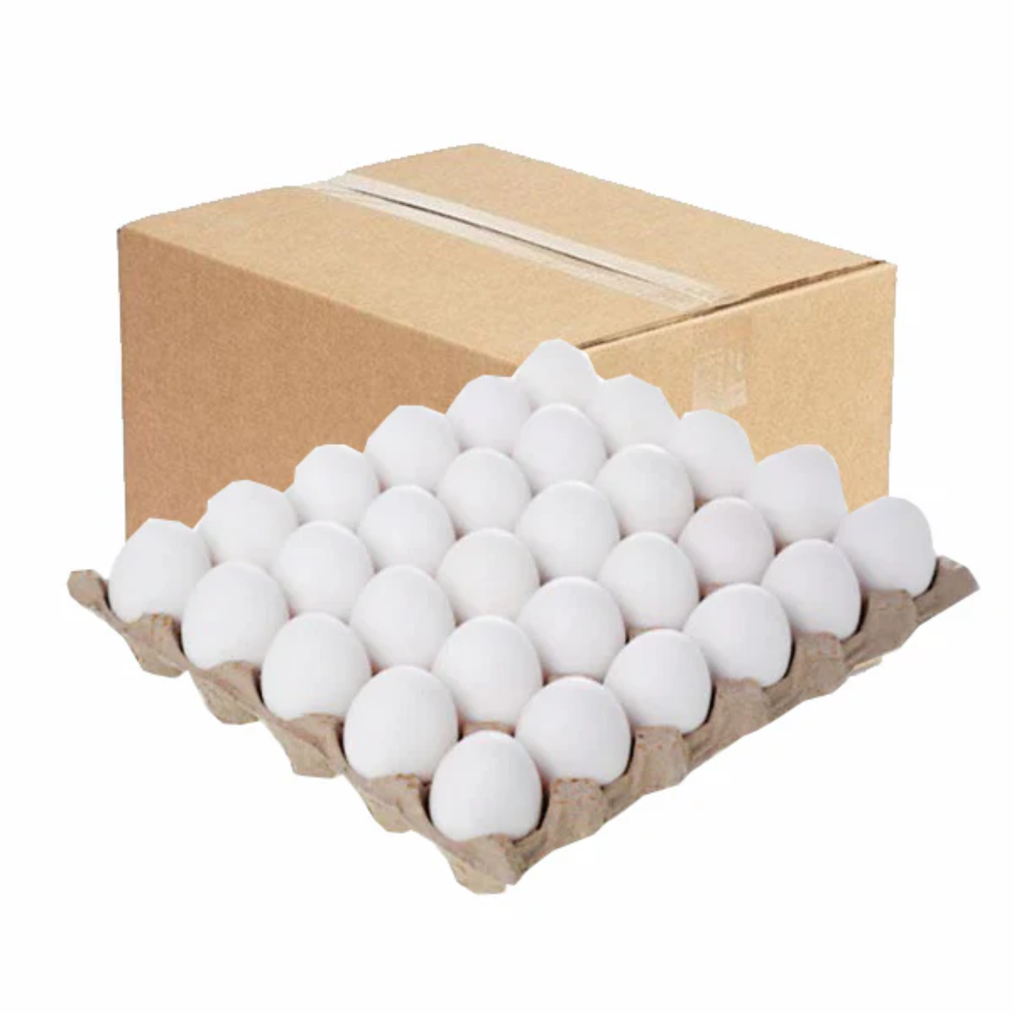 Eggs Tray